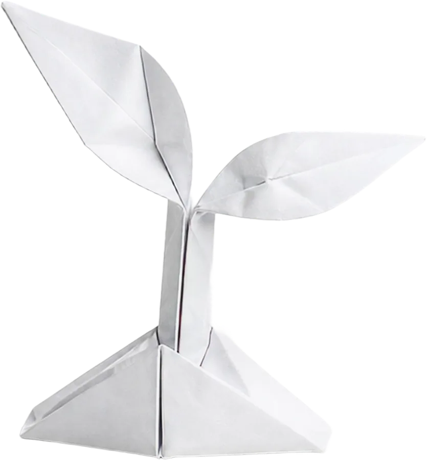 A folded paper seedling